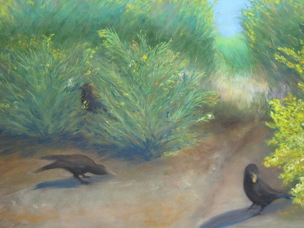 Click here to view Crows in the Scotchbroom by Jackie Bush-Turner